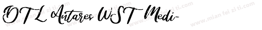 DTL Antares WST Medi字体转换